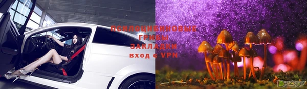 меф Нягань