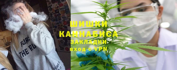 стаф Няндома