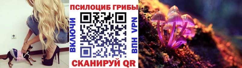 Псилоцибиновые грибы Psilocybine cubensis darknet состав Сясьстрой
